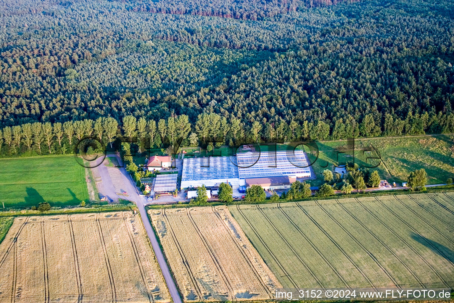 Oblique view of Cactusland in Steinfeld in the state Rhineland-Palatinate, Germany