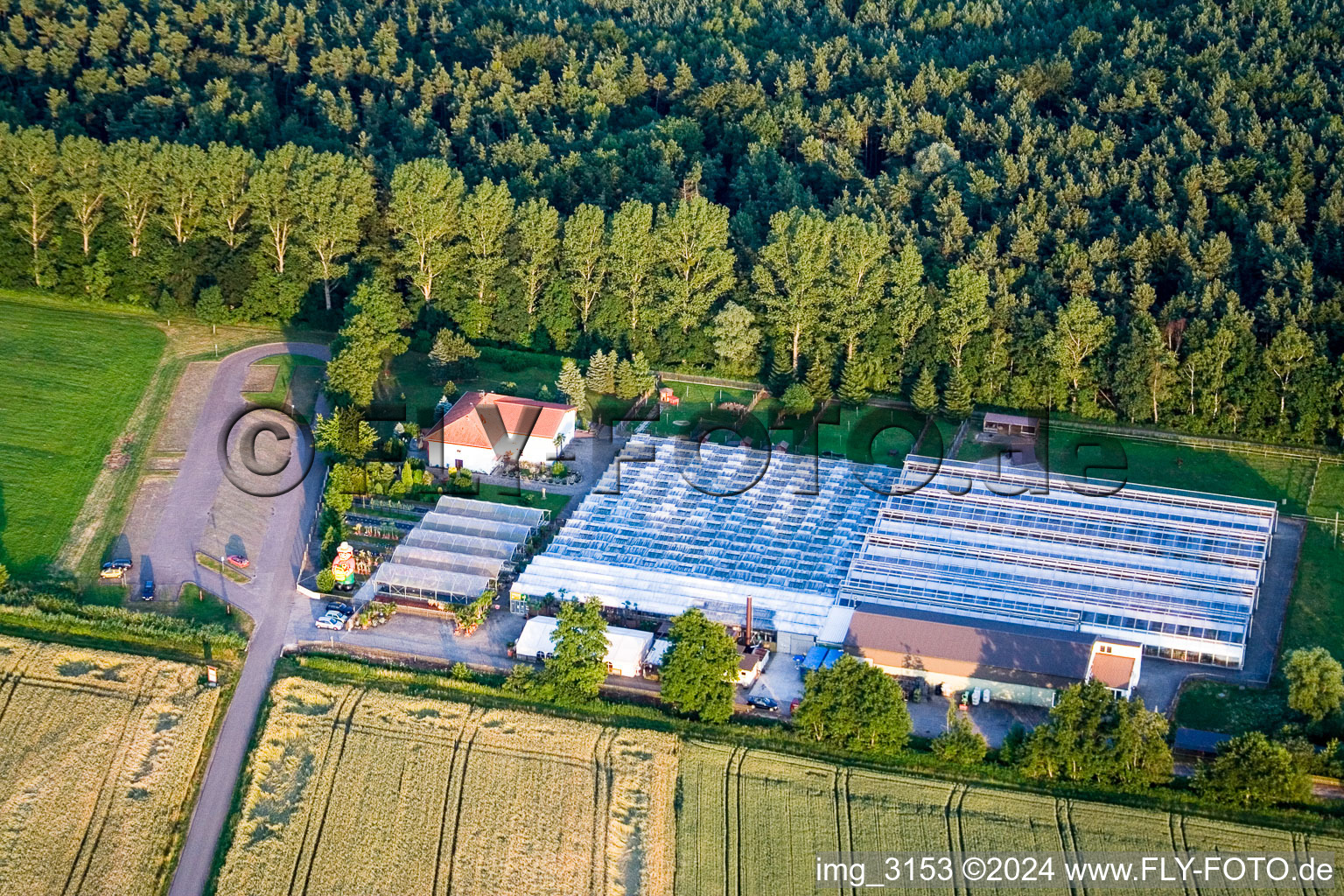 Cactusland in Steinfeld in the state Rhineland-Palatinate, Germany from above