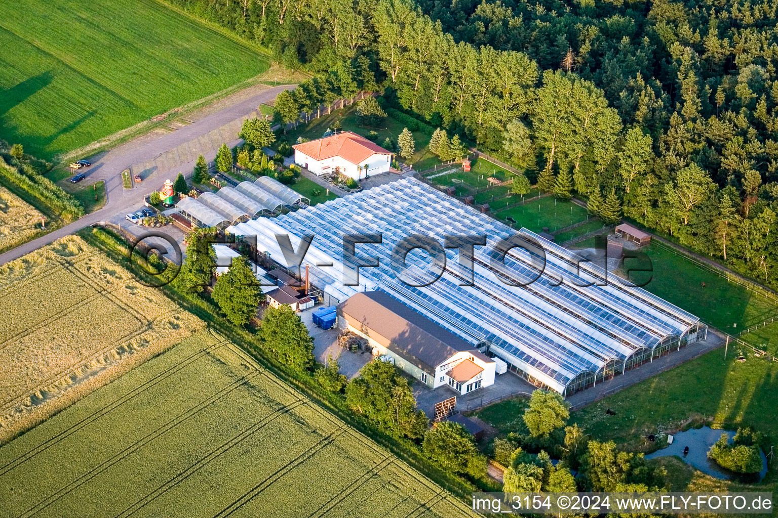 Cactusland in Steinfeld in the state Rhineland-Palatinate, Germany out of the air