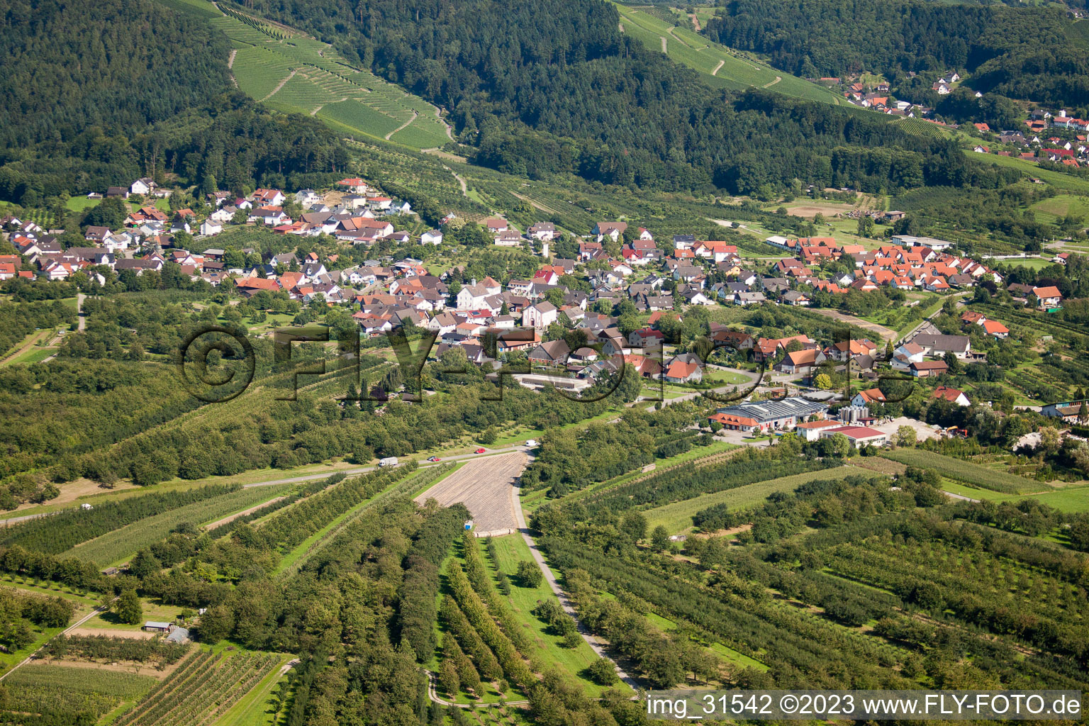 District Haslach in Oberkirch in the state Baden-Wuerttemberg, Germany