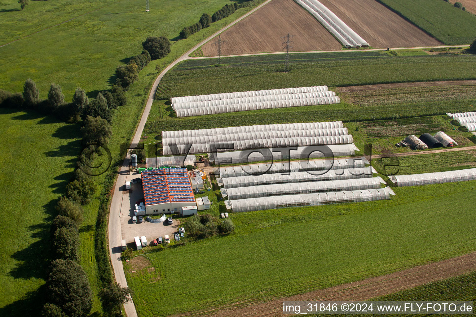 Bioland Nursery Schmälzle in the district Halberstung in Sinzheim in the state Baden-Wuerttemberg, Germany