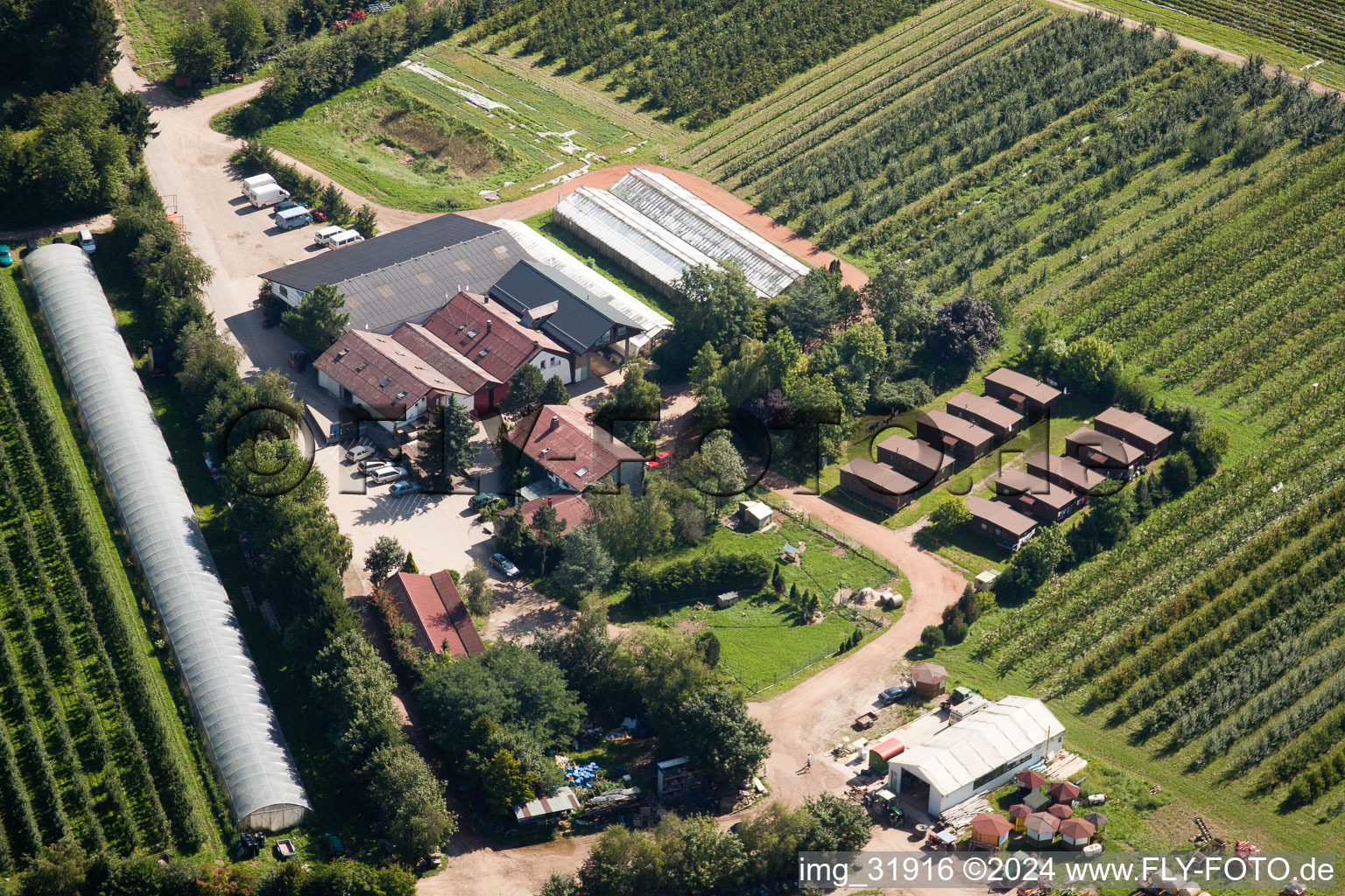 Fucheck. Strawberry farm Dr. Späth in Malsch in the state Baden-Wuerttemberg, Germany