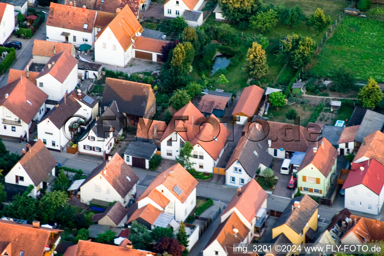 In Gänsried in Freckenfeld in the state Rhineland-Palatinate, Germany