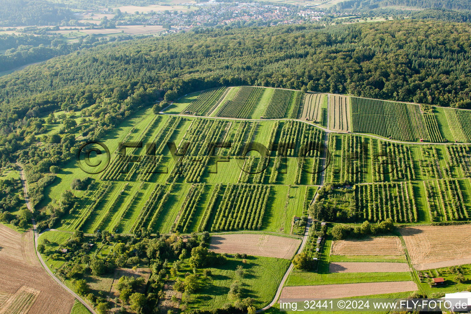 Oblique view of Keltern in the state Baden-Wuerttemberg, Germany