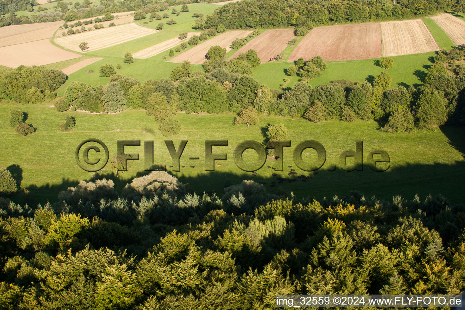 Drone recording of Kettelbachtal Nature Reserve in the district Obernhausen in Birkenfeld in the state Baden-Wuerttemberg, Germany