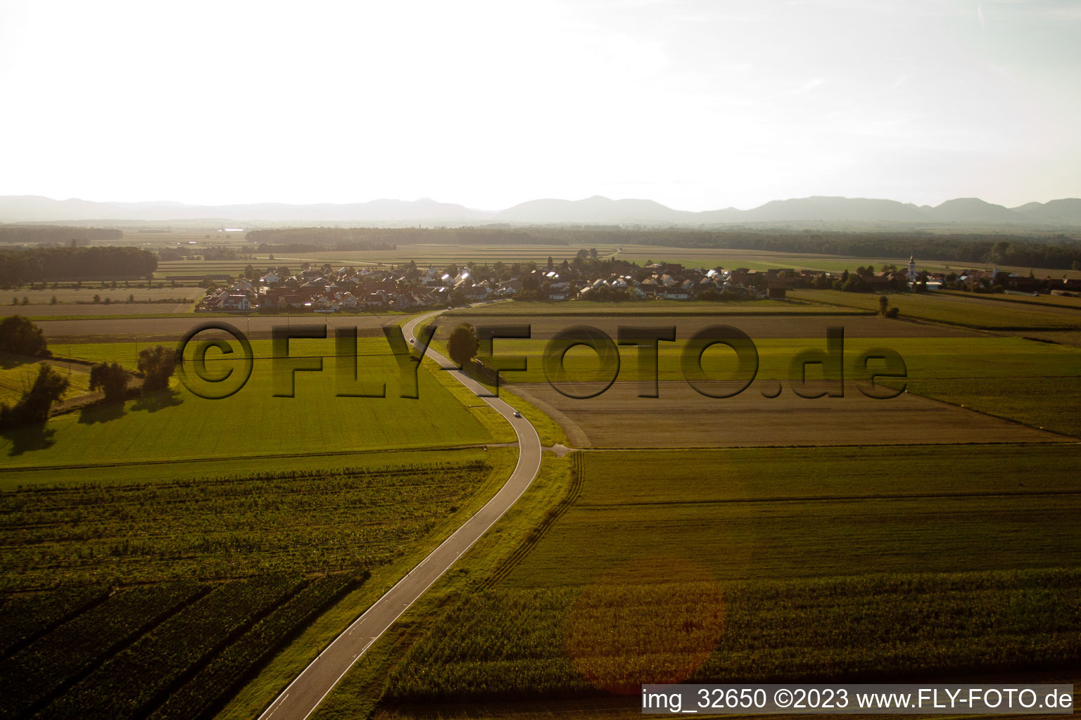 Drone image of District Hayna in Herxheim bei Landau/Pfalz in the state Rhineland-Palatinate, Germany