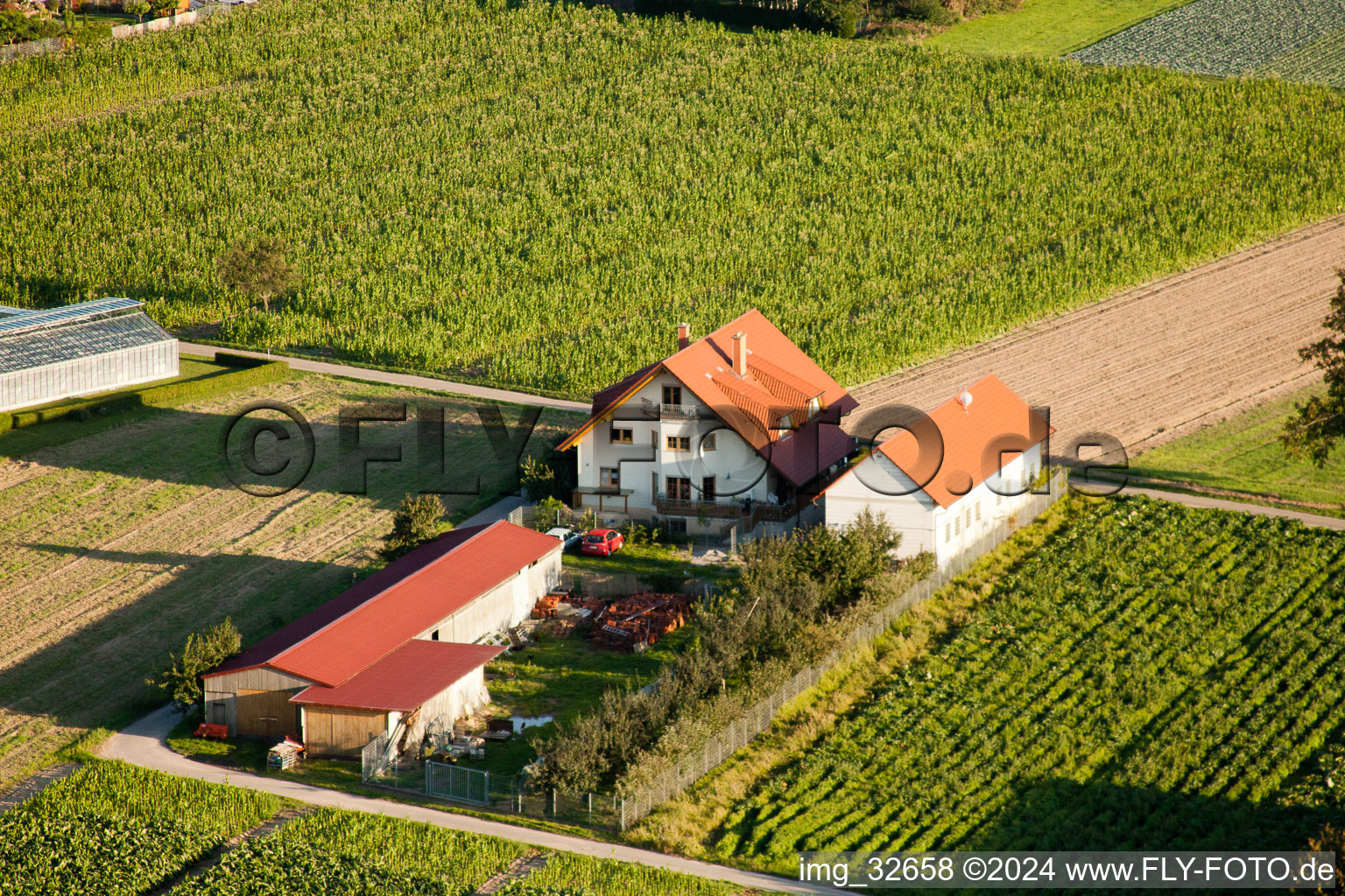 Oblique view of Repatriates’ farms in Hatzenbühl in the state Rhineland-Palatinate, Germany