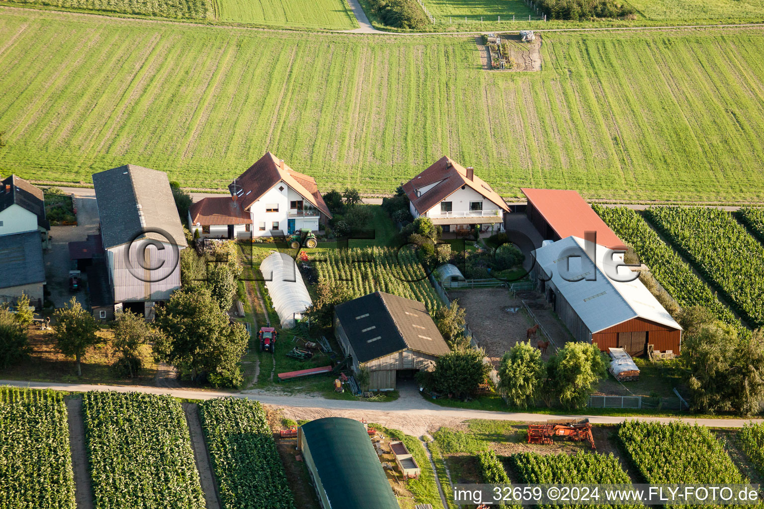 Repatriates’ farms in Hatzenbühl in the state Rhineland-Palatinate, Germany from above