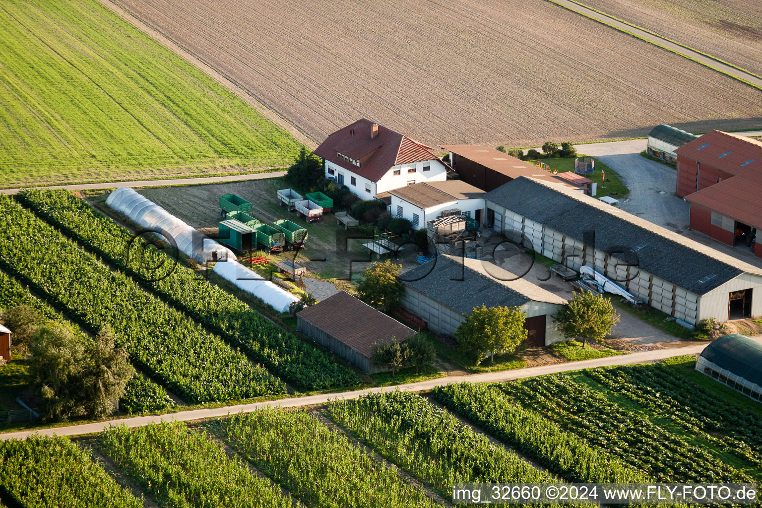 Repatriates’ farms in Hatzenbühl in the state Rhineland-Palatinate, Germany out of the air