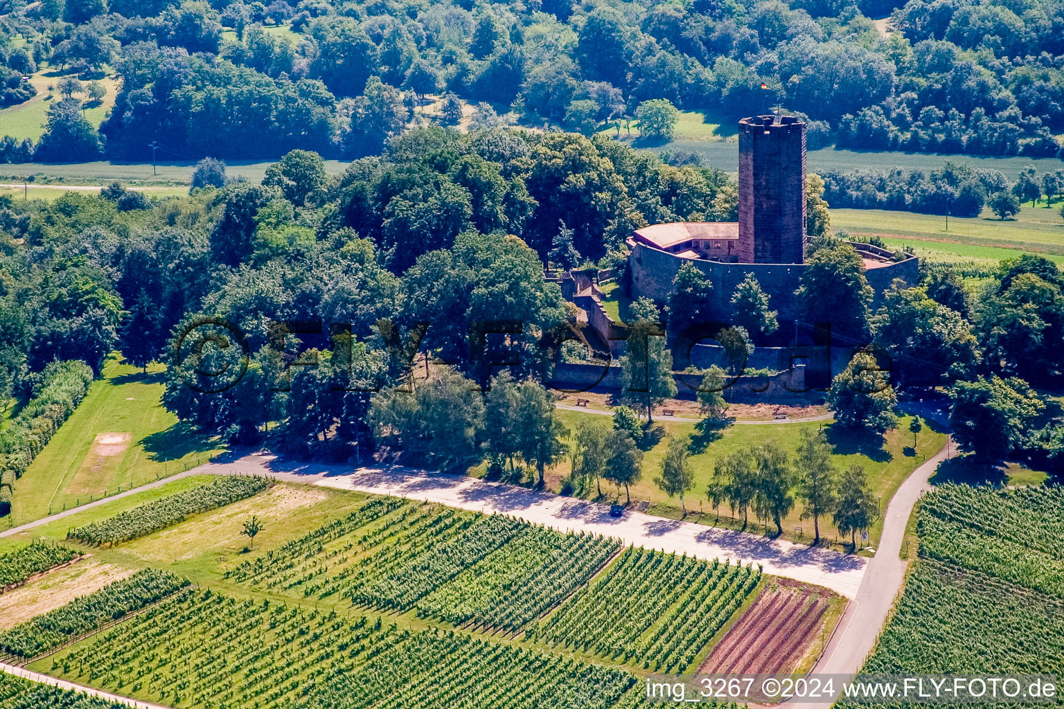 Hamlet, Steinsberg ruins in Sinsheim in the state Baden-Wuerttemberg, Germany