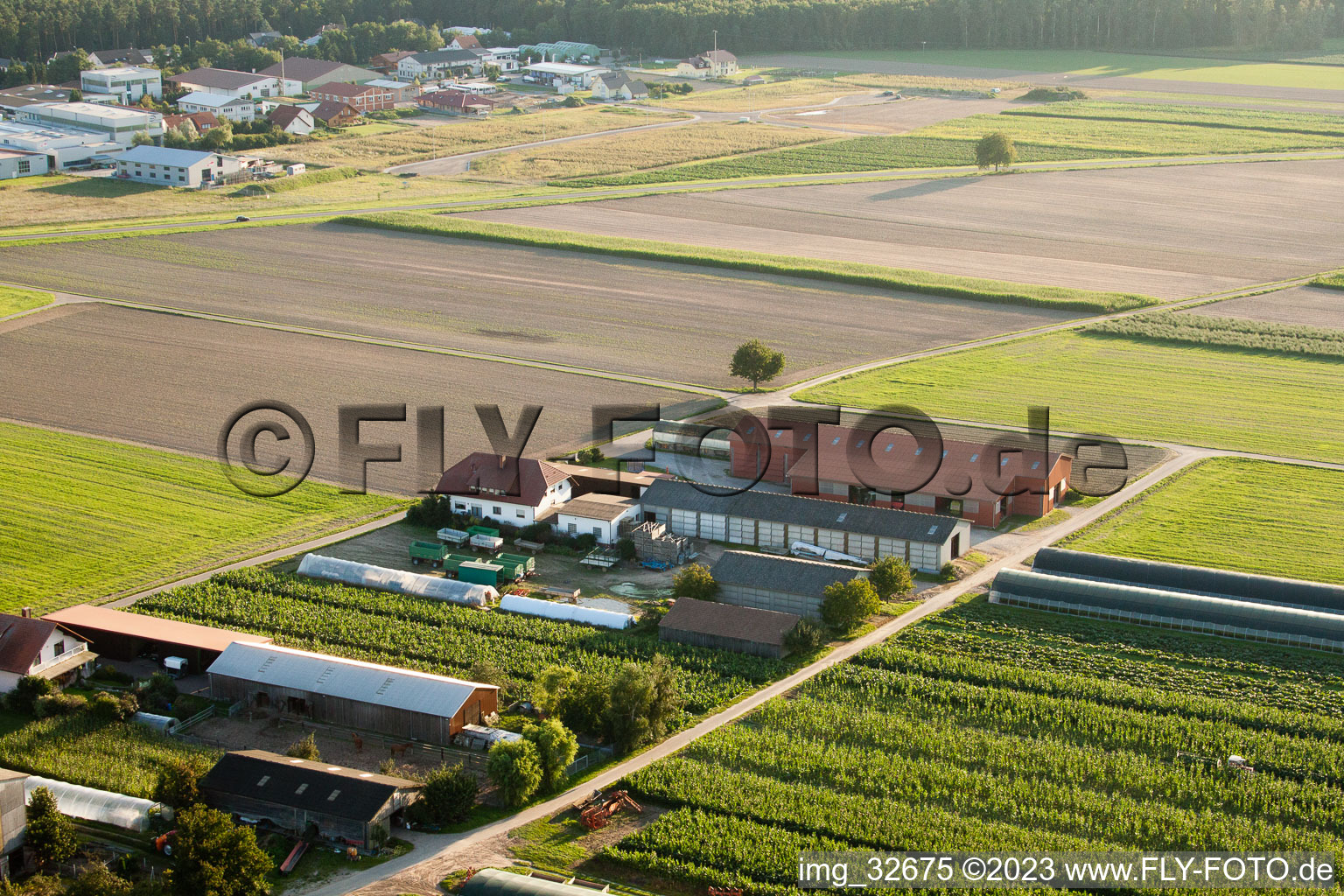 Emigrant farms in Hatzenbühl in the state Rhineland-Palatinate, Germany viewn from the air