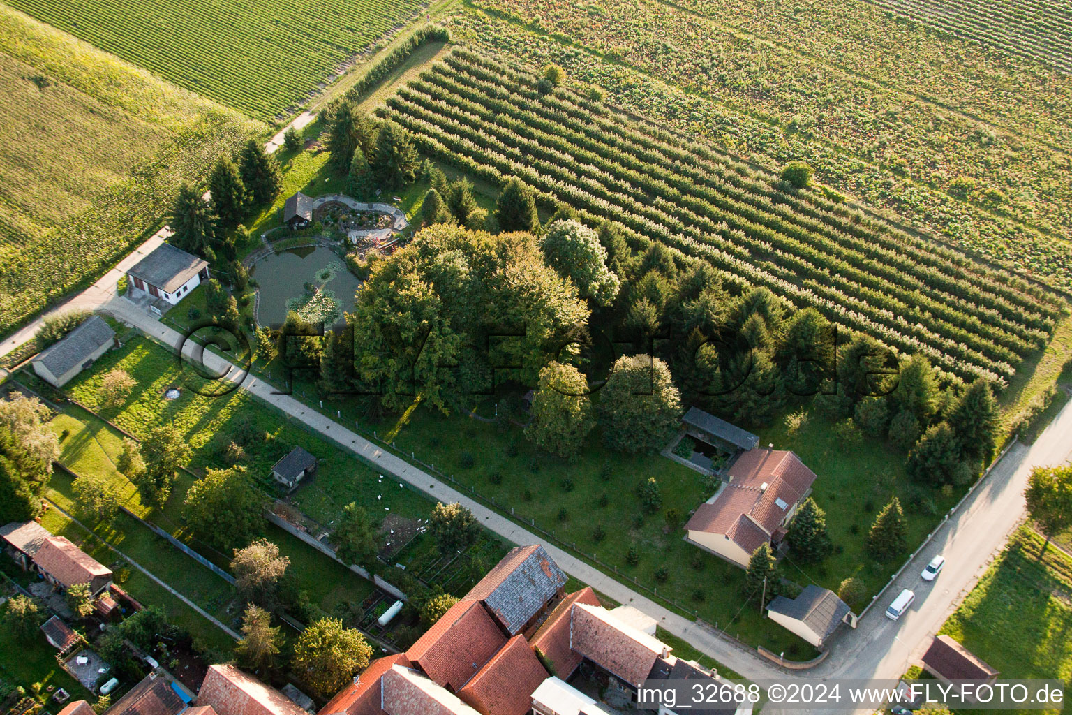 Aerial view of Erlenbach bei Kandel in the state Rhineland-Palatinate, Germany