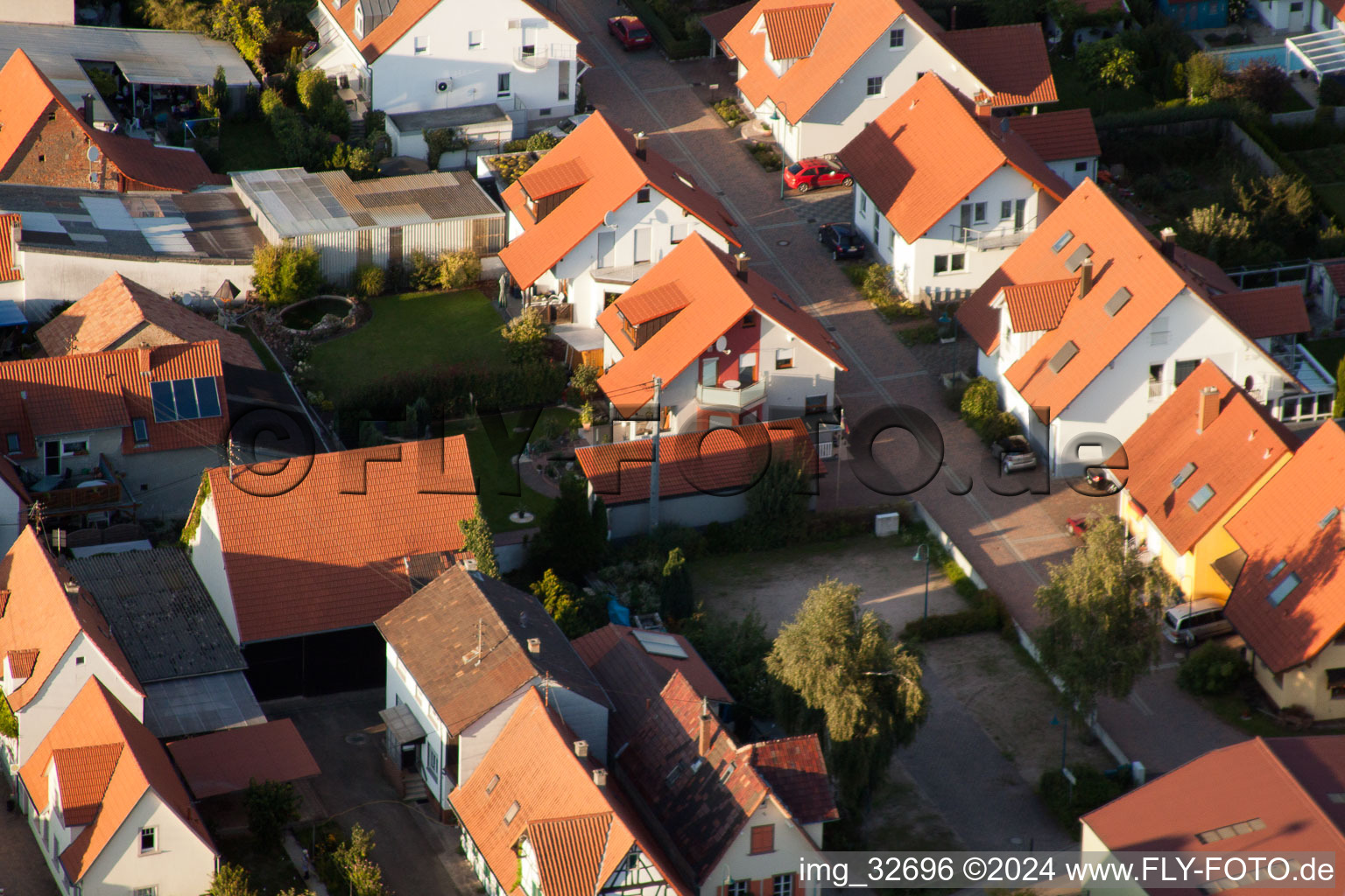 In the stork's nest in Erlenbach bei Kandel in the state Rhineland-Palatinate, Germany from above