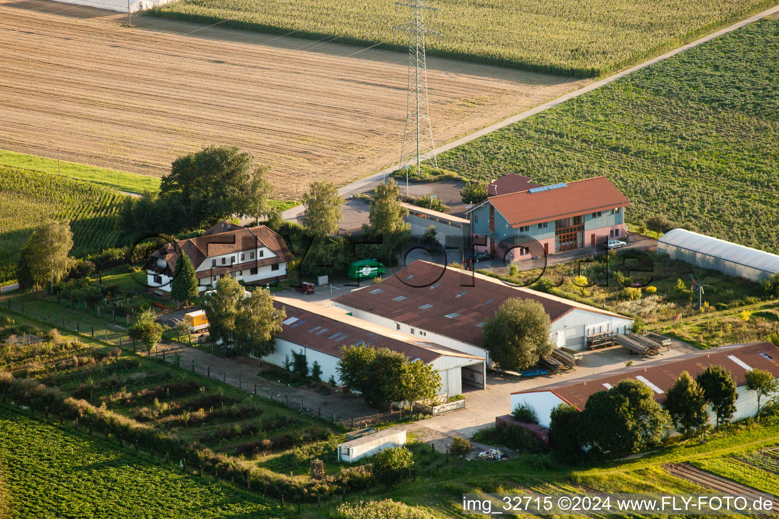 Drone image of Schoßberghof in Minfeld in the state Rhineland-Palatinate, Germany