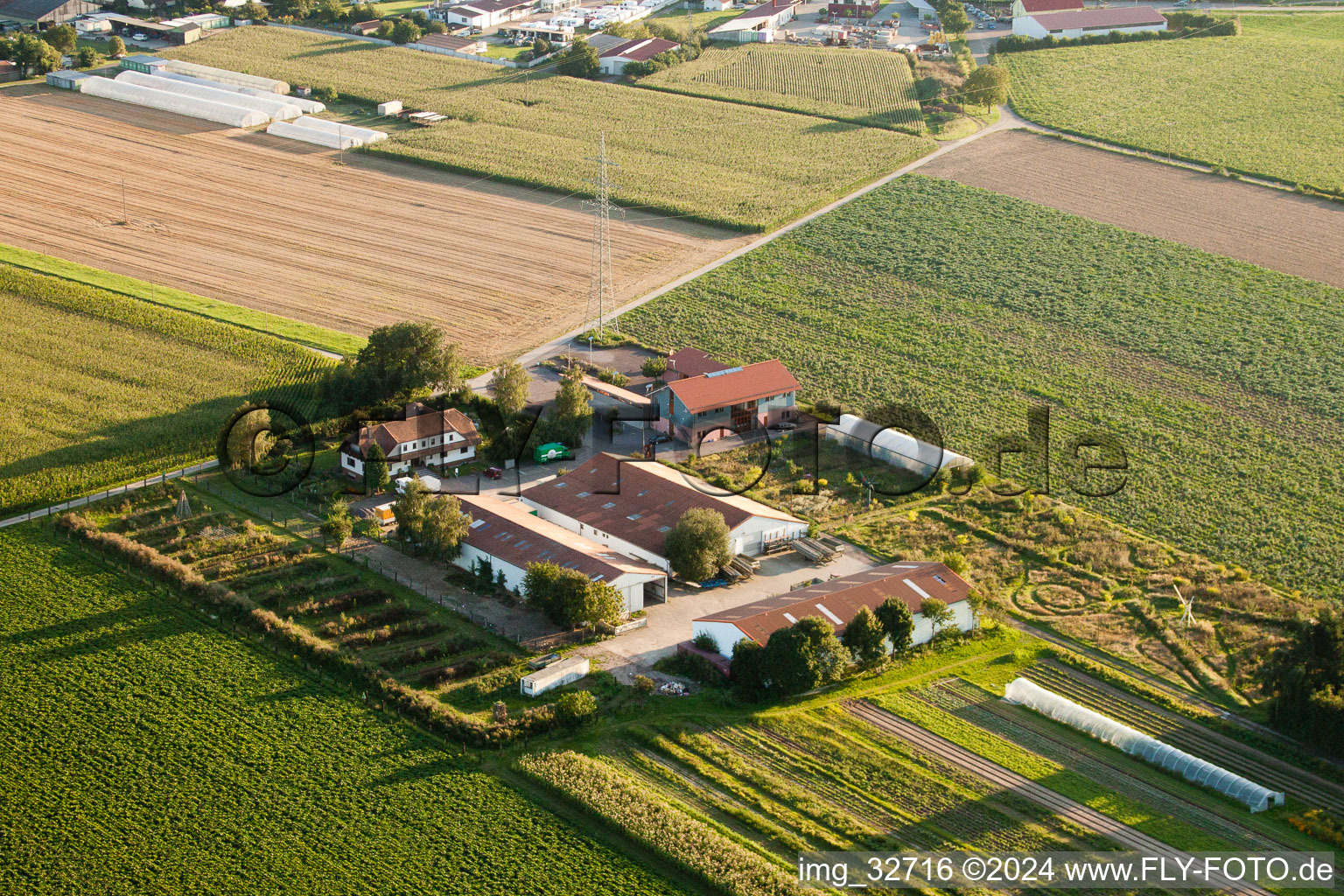 Schoßberghof in Minfeld in the state Rhineland-Palatinate, Germany from the drone perspective