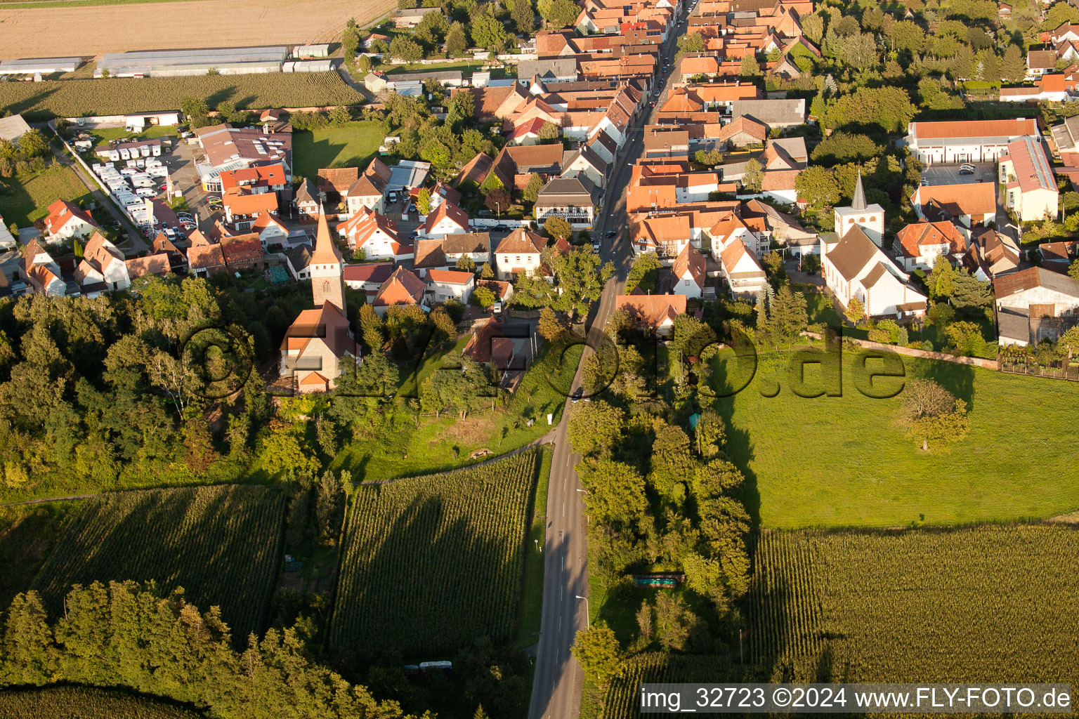 Oblique view of Minfeld in the state Rhineland-Palatinate, Germany