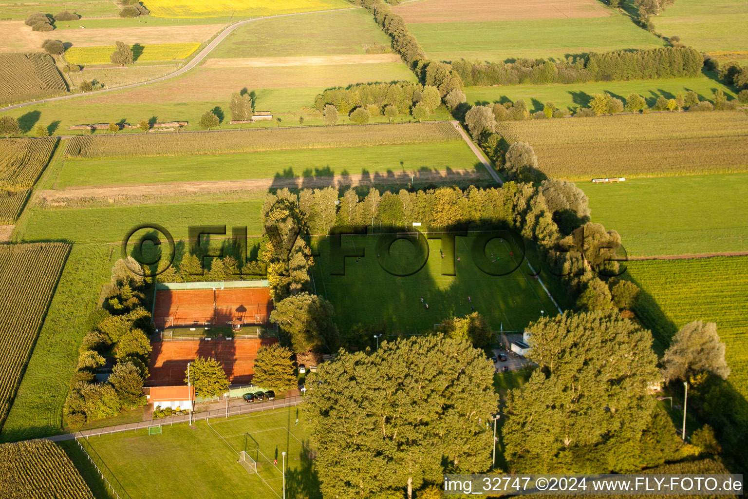 Sports fields in Minfeld in the state Rhineland-Palatinate, Germany seen from above