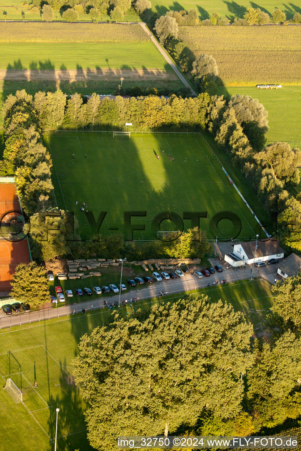 Bird's eye view of Sports fields in Minfeld in the state Rhineland-Palatinate, Germany