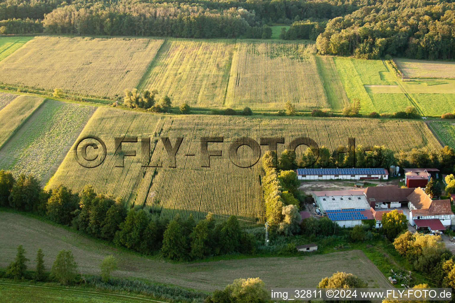 Aerial view of Strip mill in Erlenbach bei Kandel in the state Rhineland-Palatinate, Germany