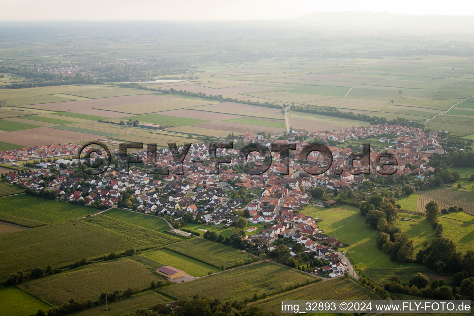 Steinweiler in the state Rhineland-Palatinate, Germany from a drone