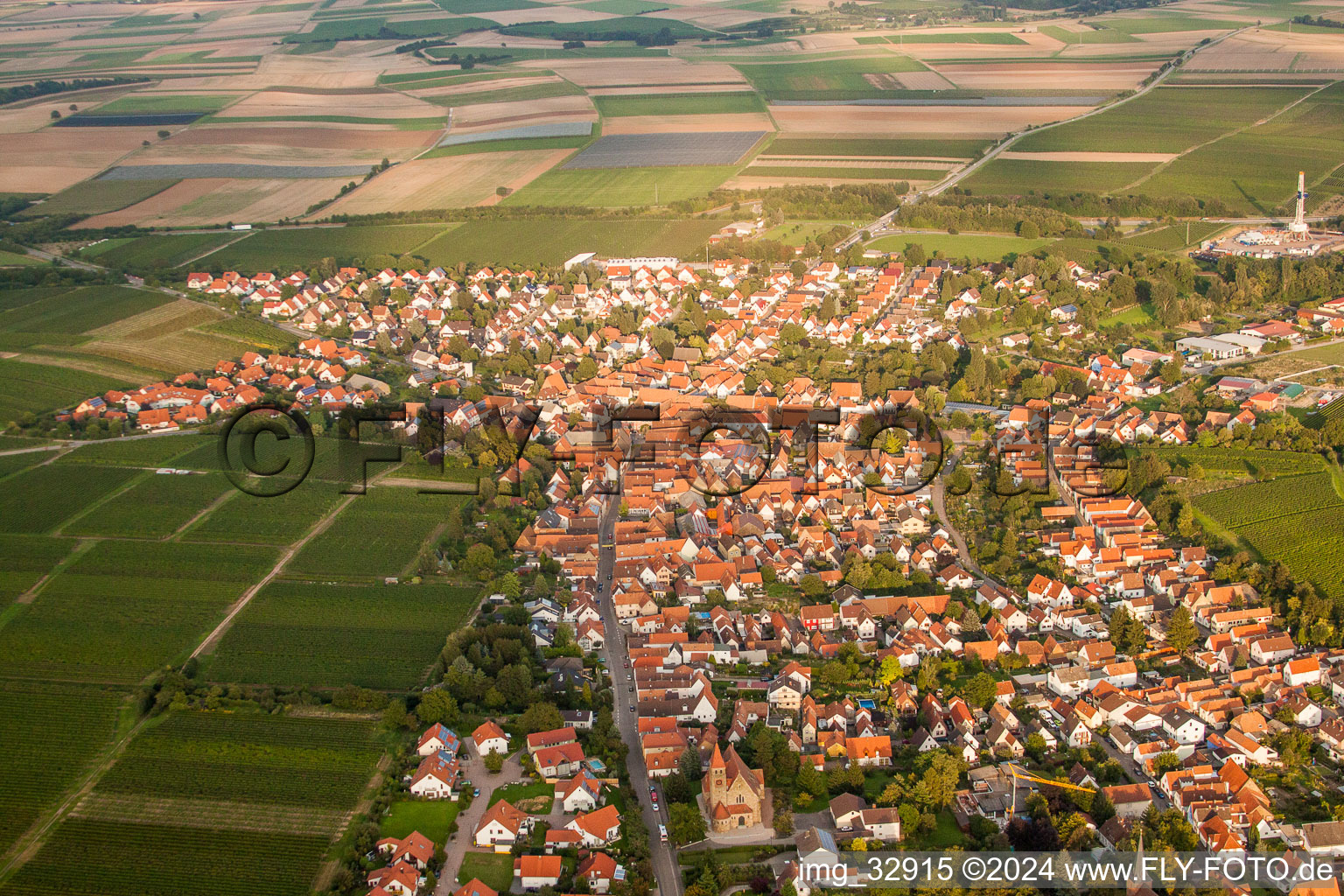 Drone image of Insheim in the state Rhineland-Palatinate, Germany