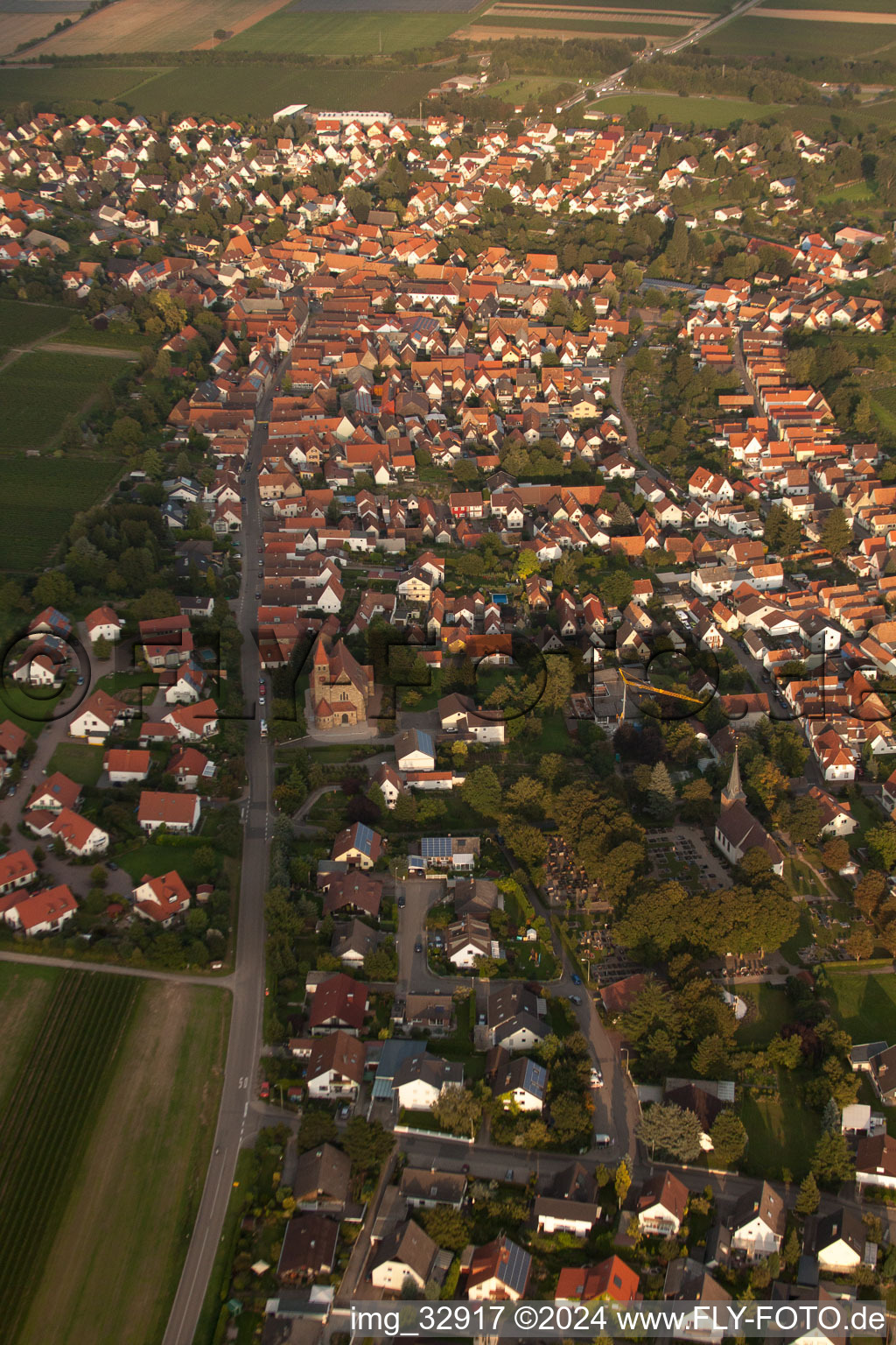 Aerial view of Village view in Insheim in the state Rhineland-Palatinate, Germany