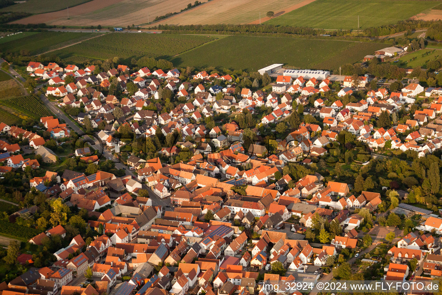 Insheim in the state Rhineland-Palatinate, Germany from the drone perspective