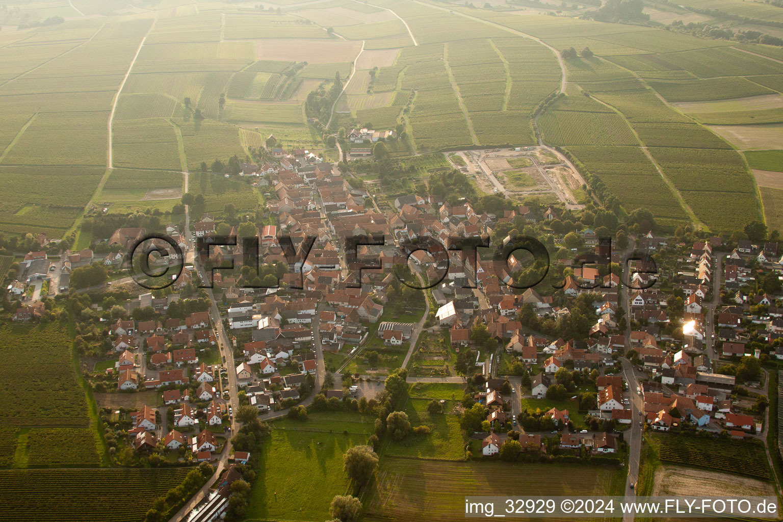 Impflingen in the state Rhineland-Palatinate, Germany from the plane