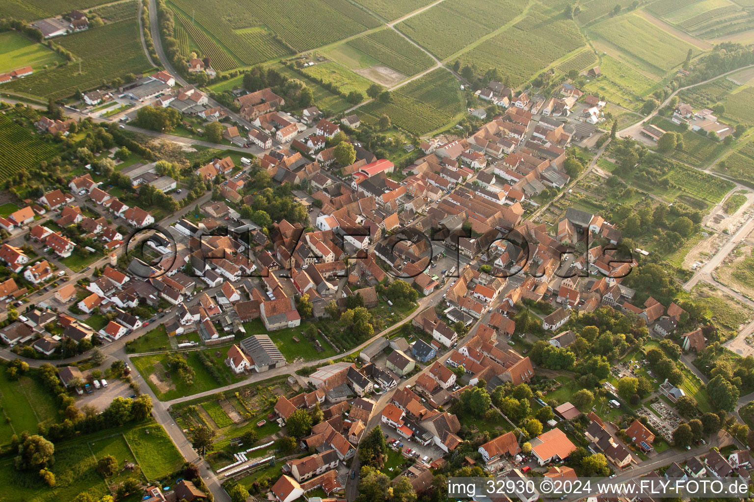 Bird's eye view of Impflingen in the state Rhineland-Palatinate, Germany