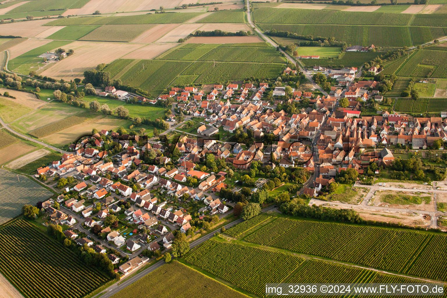 Impflingen in the state Rhineland-Palatinate, Germany viewn from the air