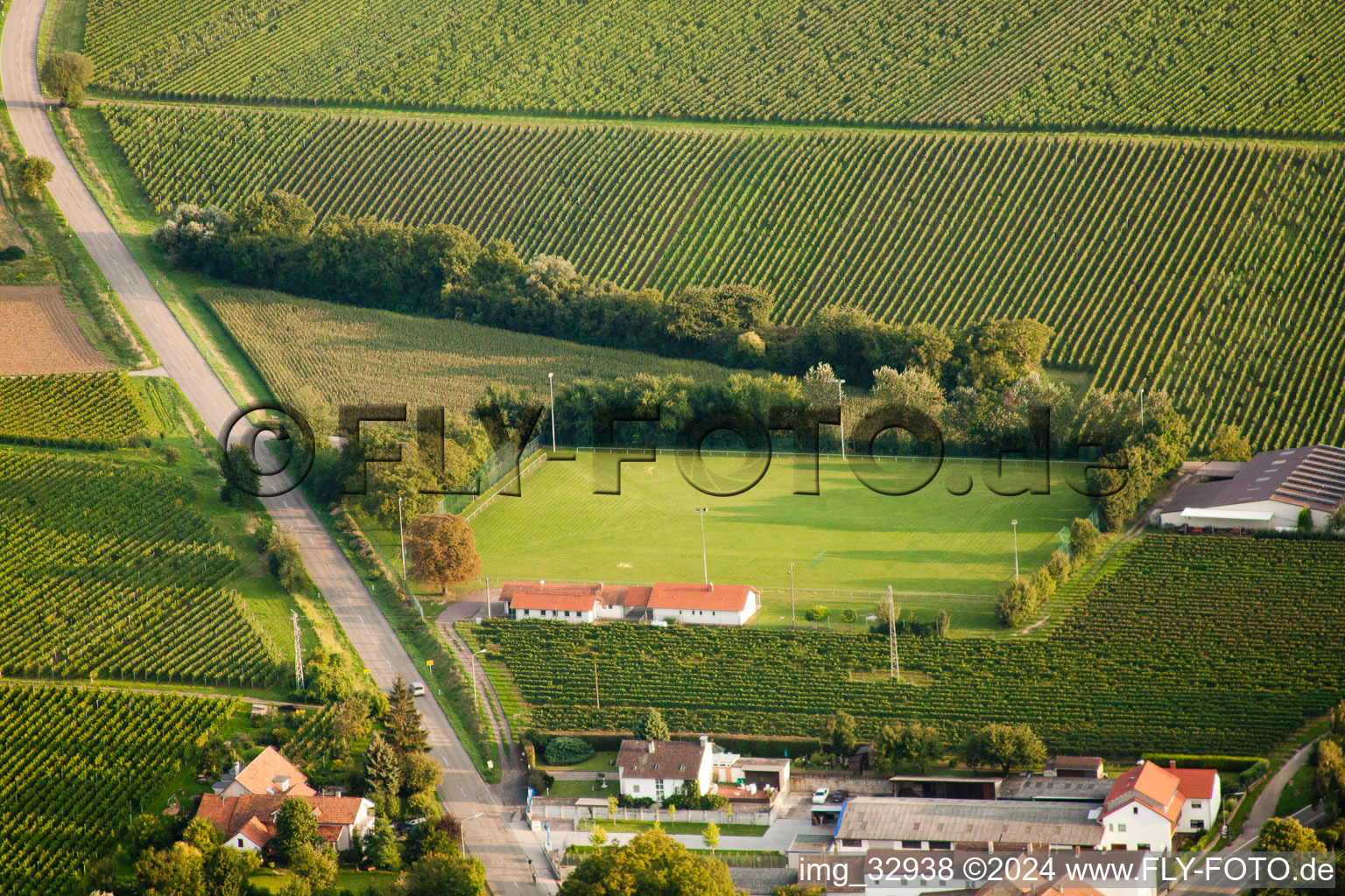 Sports field in Impflingen in the state Rhineland-Palatinate, Germany from above