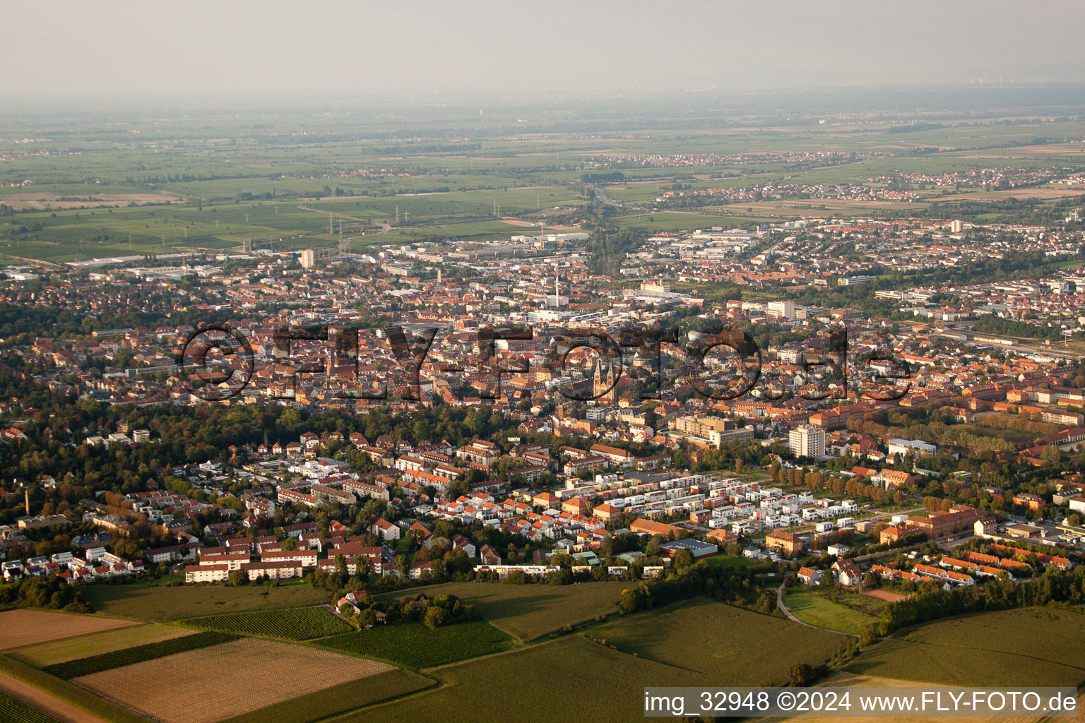 Landau in der Pfalz in the state Rhineland-Palatinate, Germany from the drone perspective