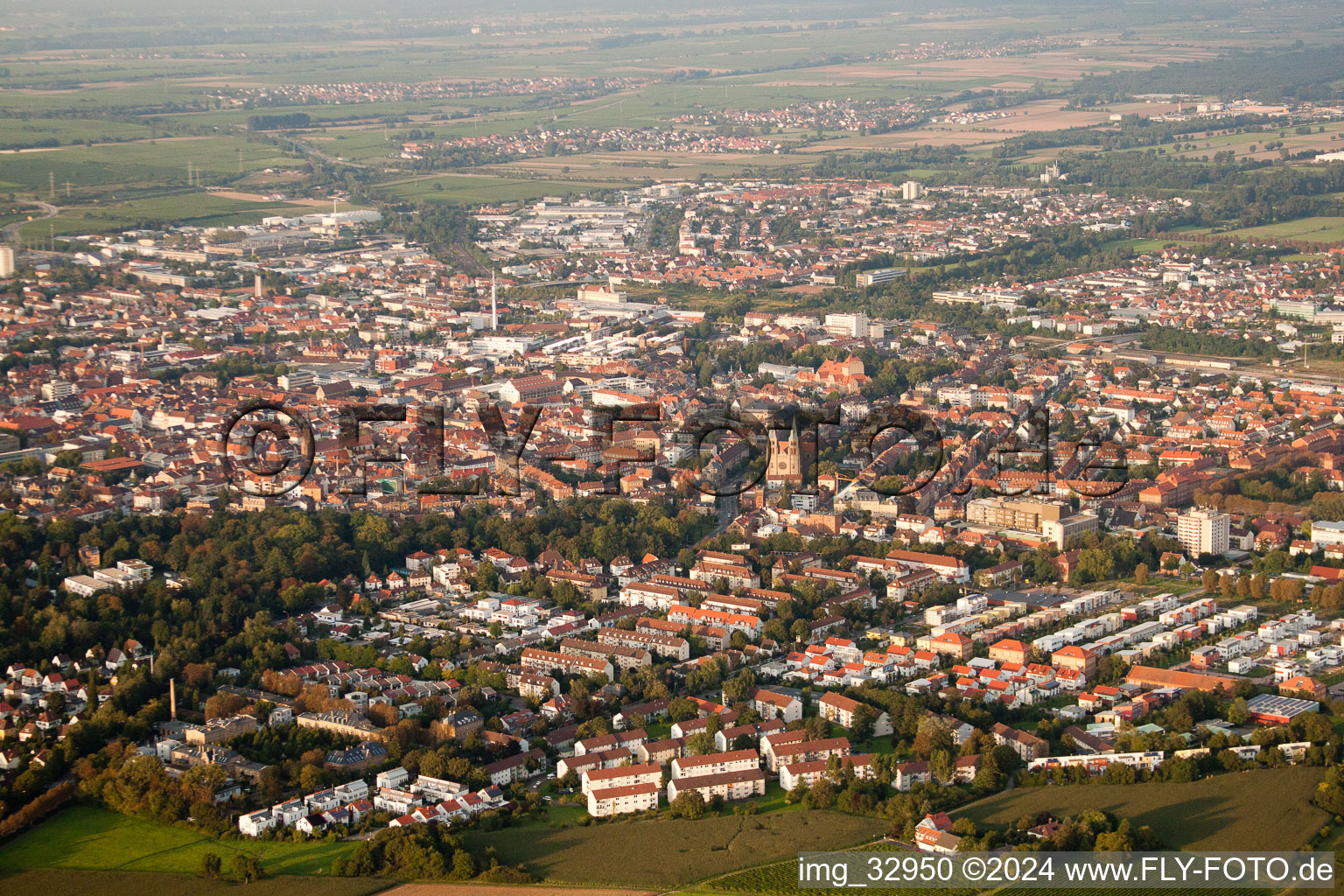 Landau in der Pfalz in the state Rhineland-Palatinate, Germany from a drone