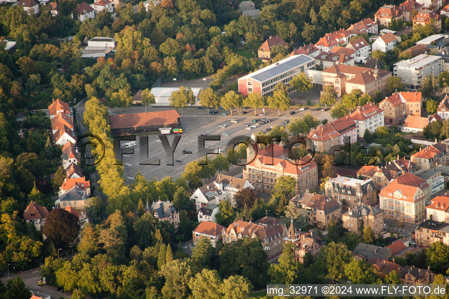 Landau in der Pfalz in the state Rhineland-Palatinate, Germany from the drone perspective