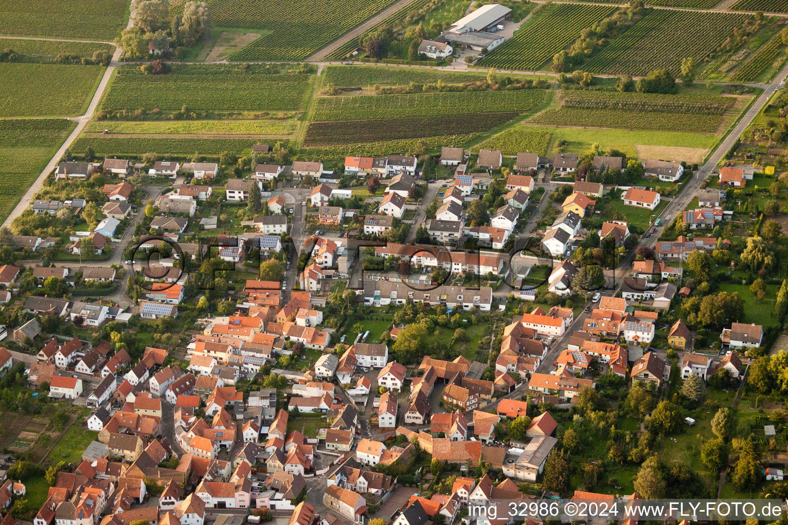 Grape variety district in the district Godramstein in Landau in der Pfalz in the state Rhineland-Palatinate, Germany