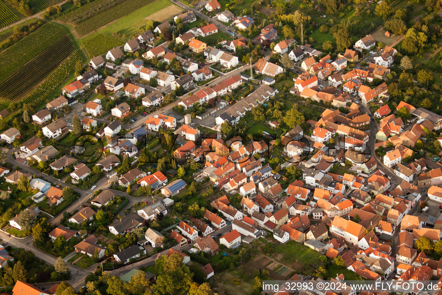 Aerial view of Grape variety district in the district Godramstein in Landau in der Pfalz in the state Rhineland-Palatinate, Germany