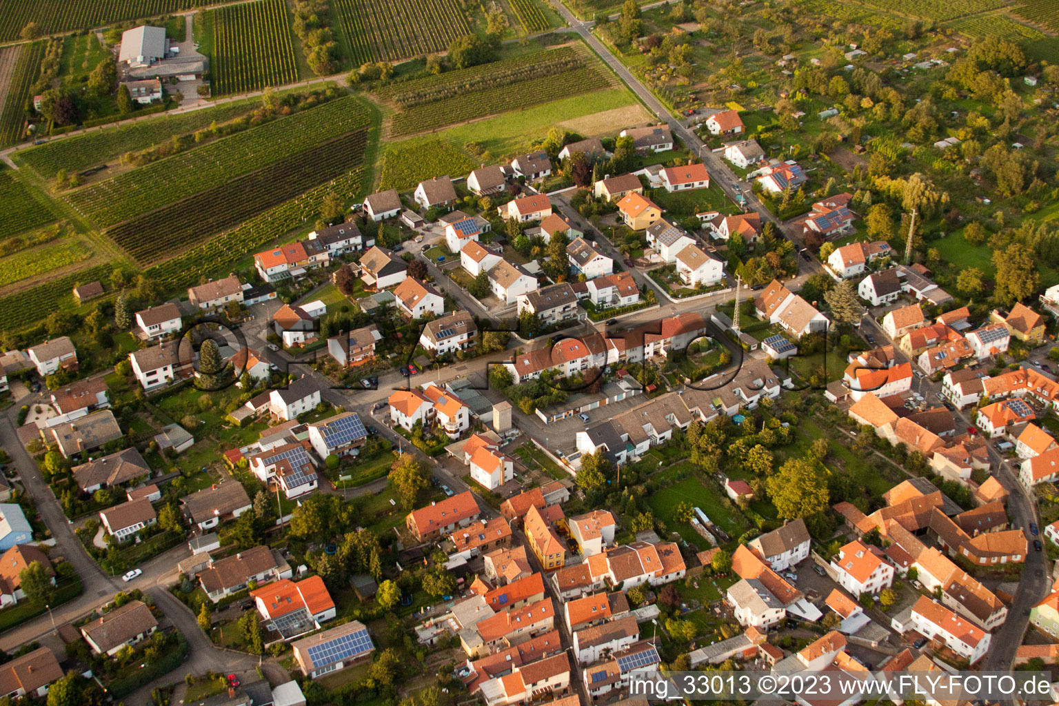 Aerial photograpy of Grape variety district in the district Godramstein in Landau in der Pfalz in the state Rhineland-Palatinate, Germany