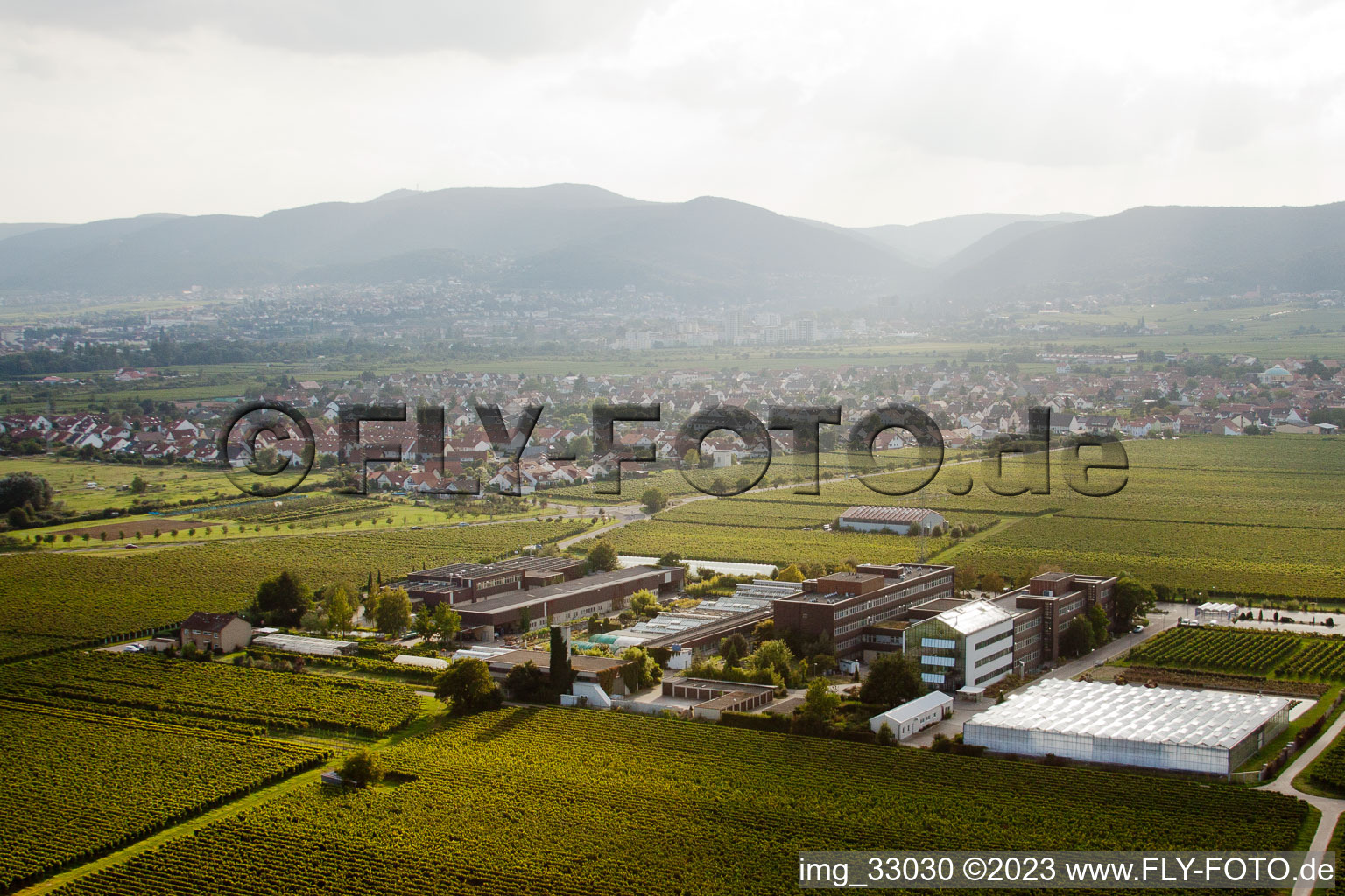 Oblique view of RLP Agroscience in the district Mußbach in Neustadt an der Weinstraße in the state Rhineland-Palatinate, Germany