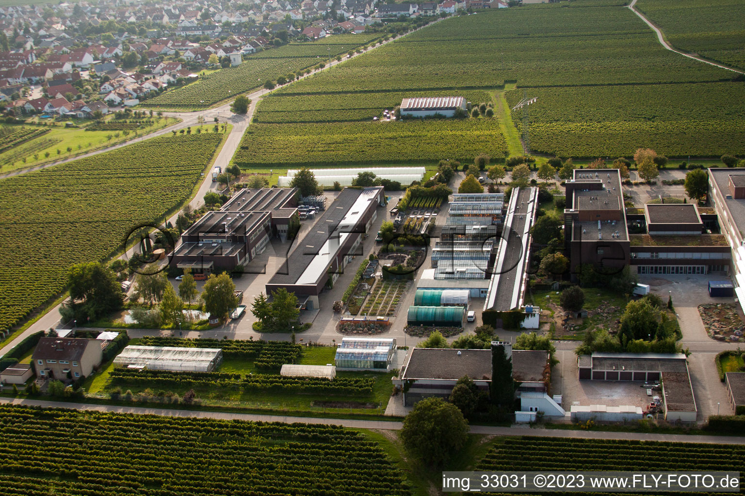 RLP Agroscience in the district Mußbach in Neustadt an der Weinstraße in the state Rhineland-Palatinate, Germany from above