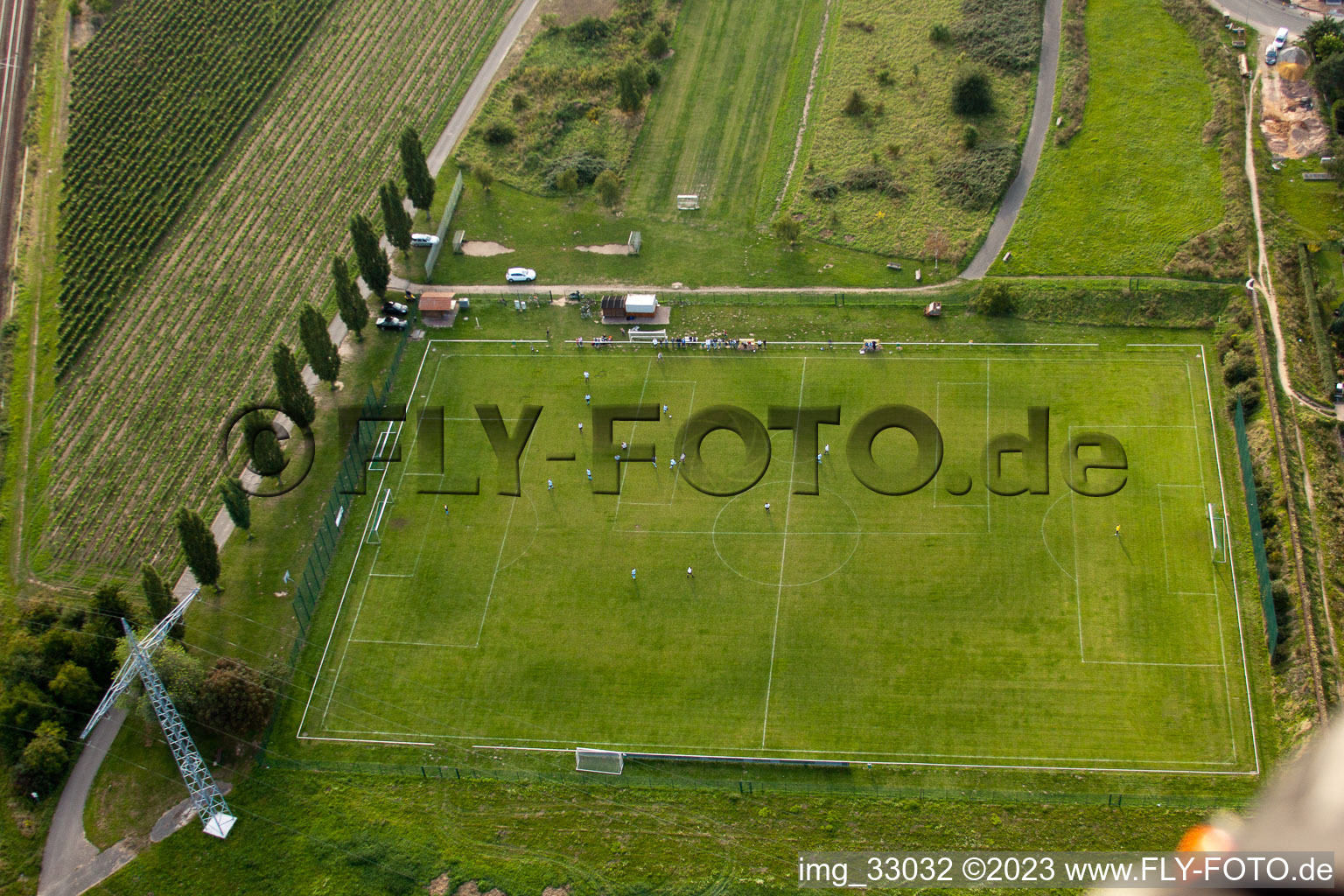 On the wine route, sports field in the district Mußbach in Neustadt an der Weinstraße in the state Rhineland-Palatinate, Germany