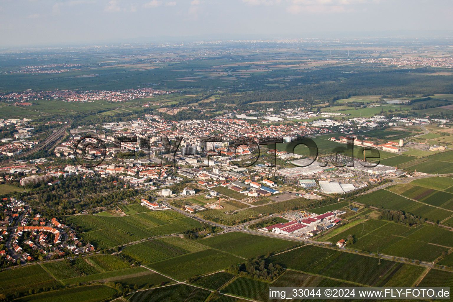 From the south in Neustadt an der Weinstraße in the state Rhineland-Palatinate, Germany