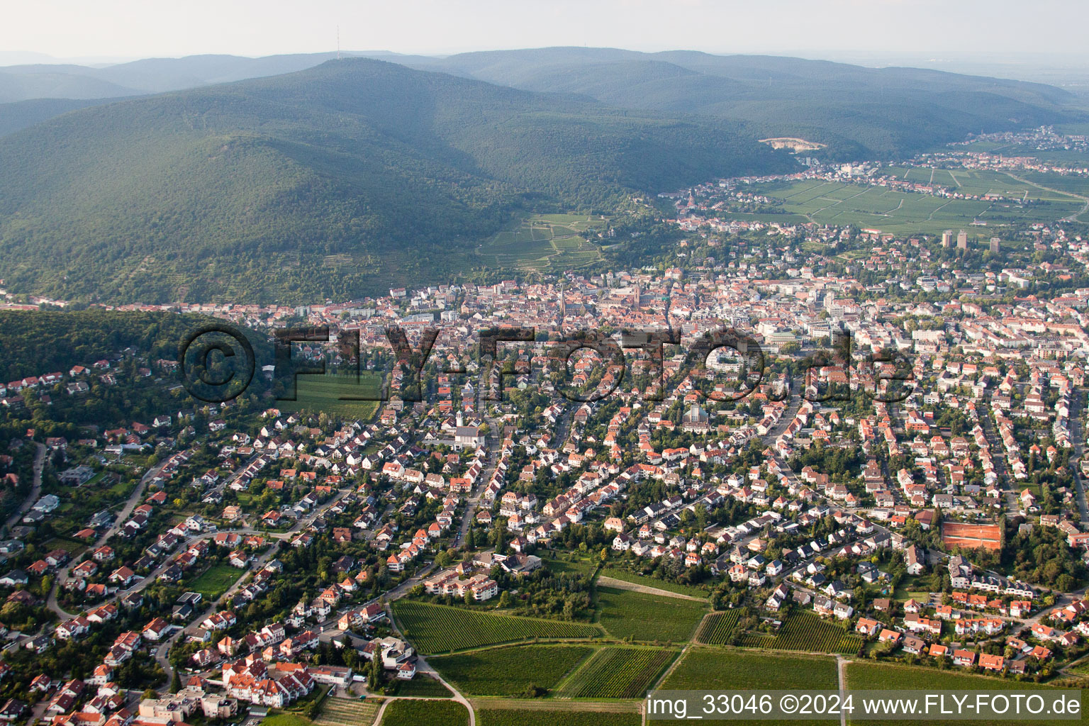 Aerial photograpy of From the south in Neustadt an der Weinstraße in the state Rhineland-Palatinate, Germany