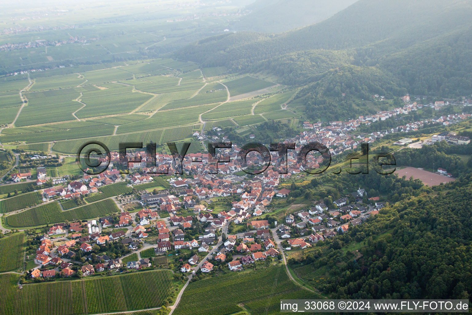 Bird's eye view of St. Martin in Sankt Martin in the state Rhineland-Palatinate, Germany