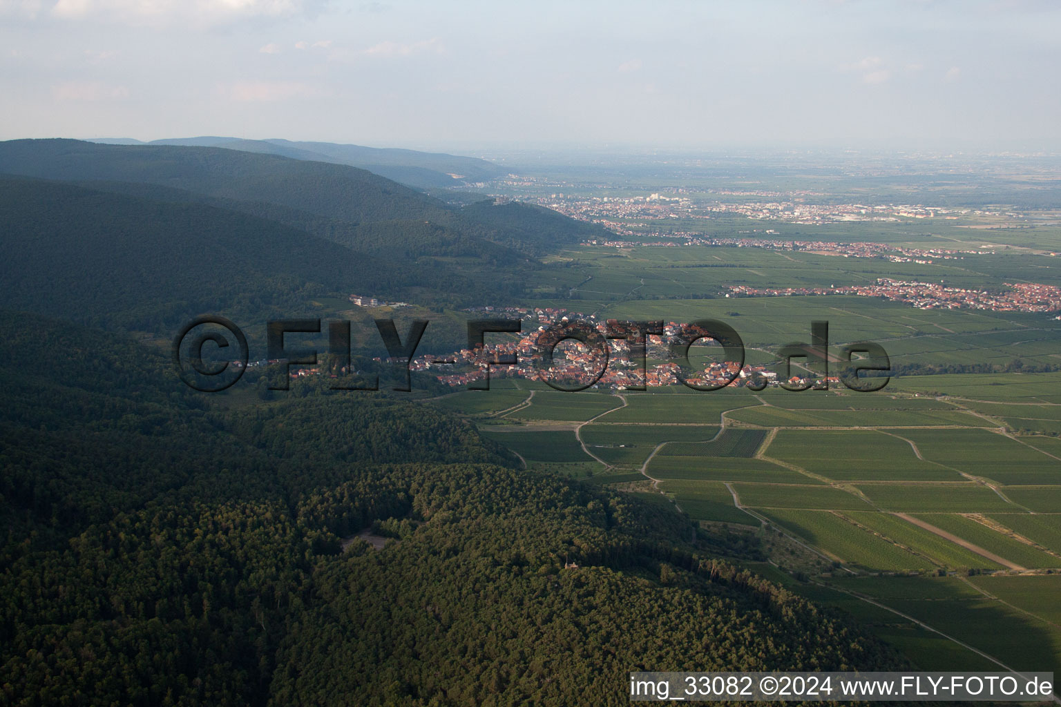 St. Martin from the south in Sankt Martin in the state Rhineland-Palatinate, Germany