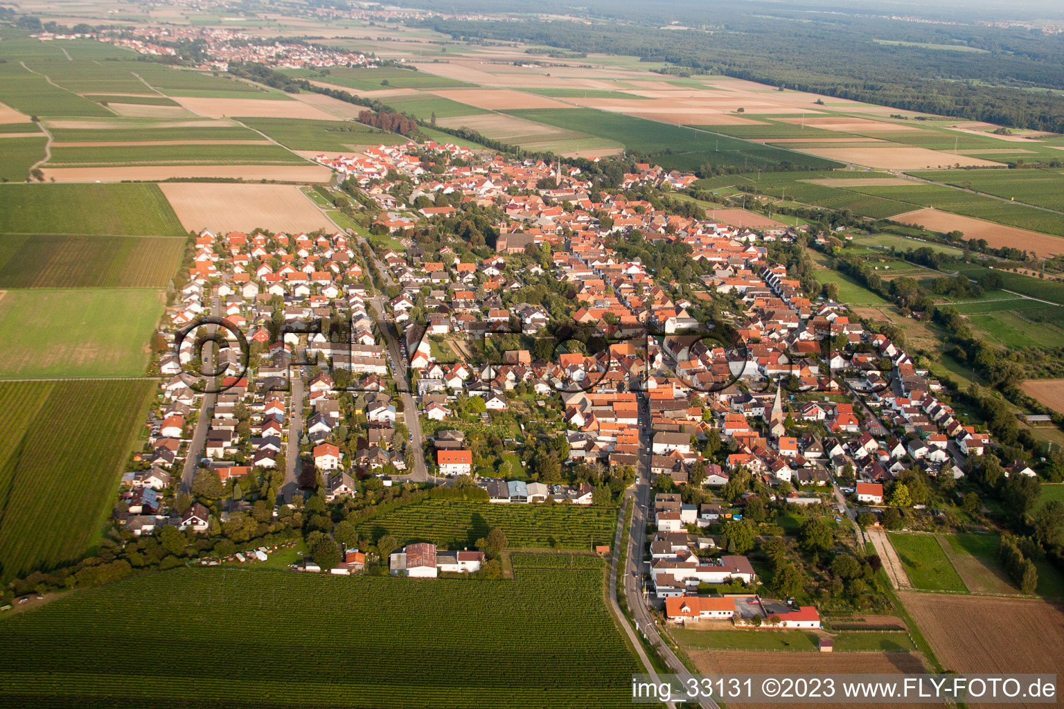 Aerial view of Essingen in the state Rhineland-Palatinate, Germany