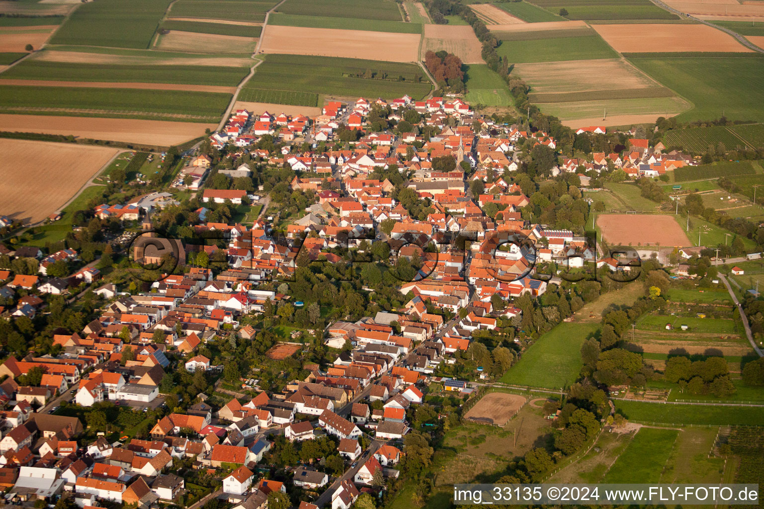 Essingen in the state Rhineland-Palatinate, Germany out of the air