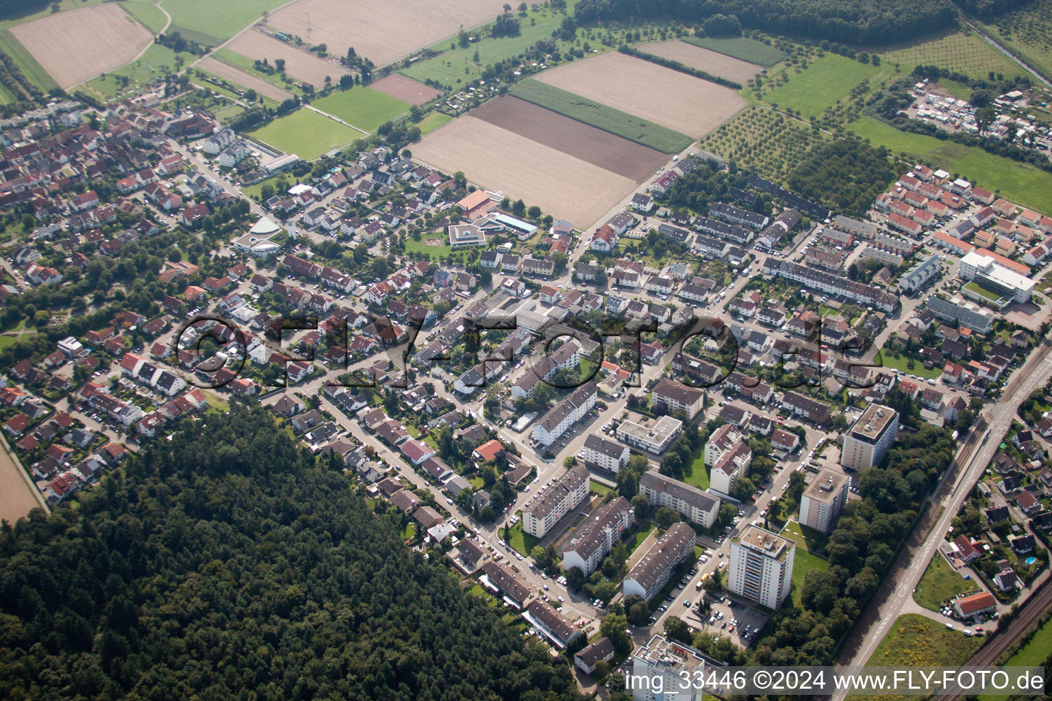 Pine Path in the district Büchig in Stutensee in the state Baden-Wuerttemberg, Germany