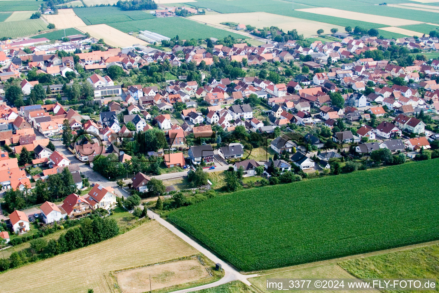 Aerial view of In the quiet garden in Minfeld in the state Rhineland-Palatinate, Germany