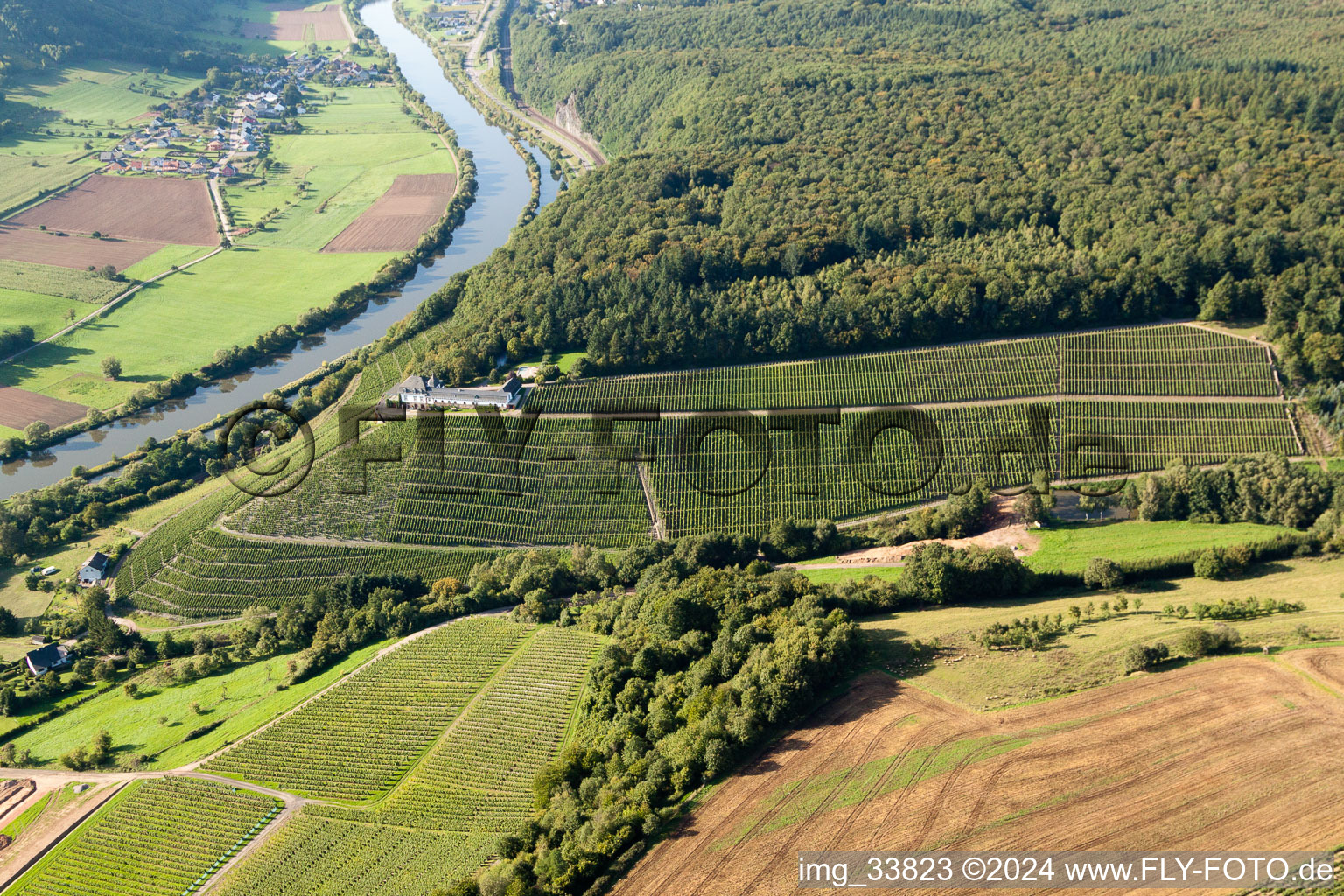 Fields of wine cultivation landscape of Wineyard Castle Saarstein in Serrig at the shore of the river Saar in the state Rhineland-Palatinate, Germany