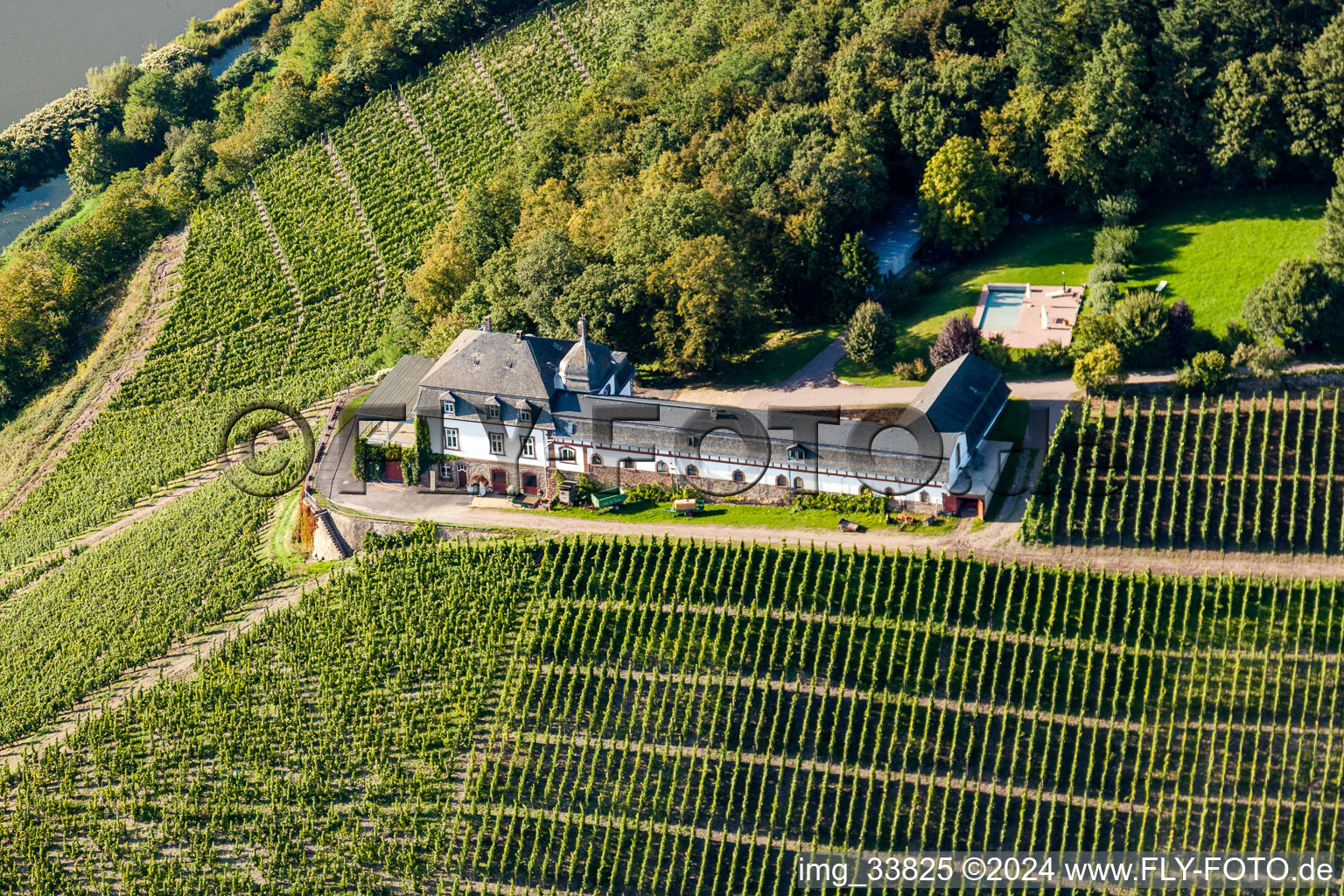 Fields of wine cultivation landscape with Domaine Castle Saarstein above the river Saar in Serrig in the state , Germany